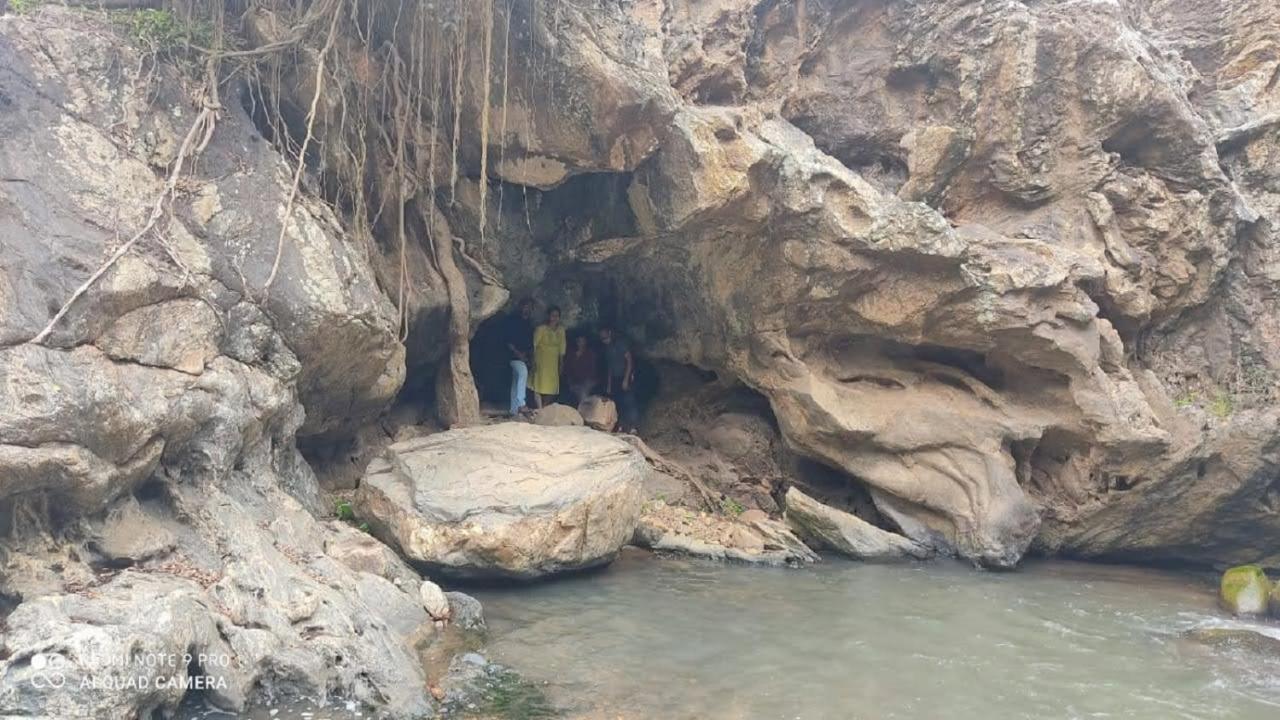 Misty Valley Resort Varagampadi Dış mekan fotoğraf