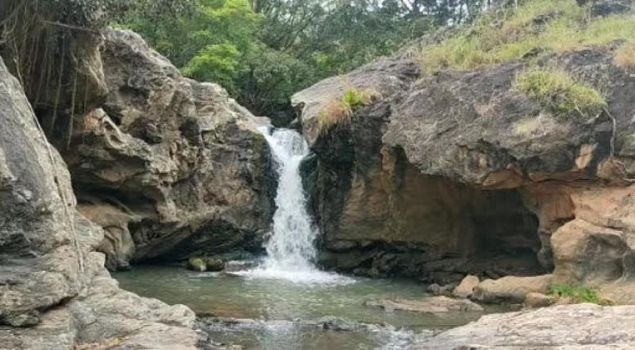 Misty Valley Resort Varagampadi Dış mekan fotoğraf